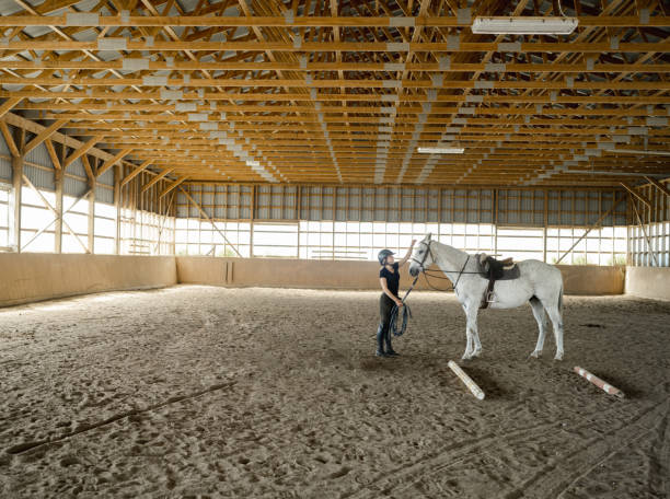 istock Young female trainer prepping her horse 1324710785