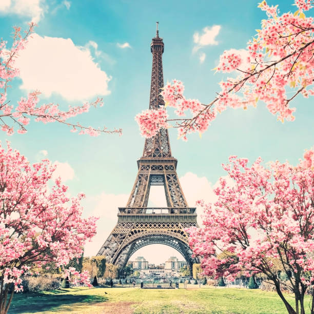 istock Eiffel Tower in Paris City 1324711096