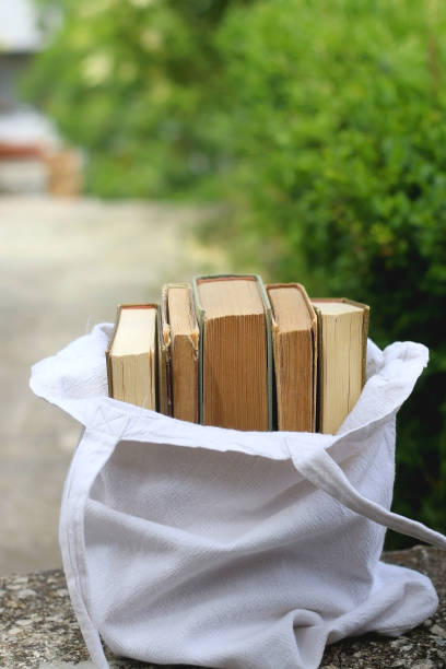 istock Bag of Books 1324711403