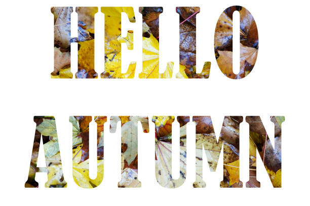 Hello Autumn text from yellow leaves isolated on white background