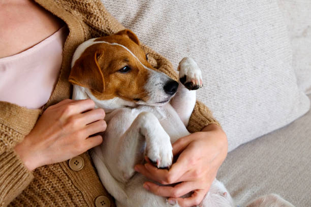 istock Hipster girl with her puppy. 1324714286
