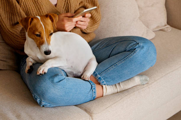 istock Hipster girl with her puppy. 1324714375