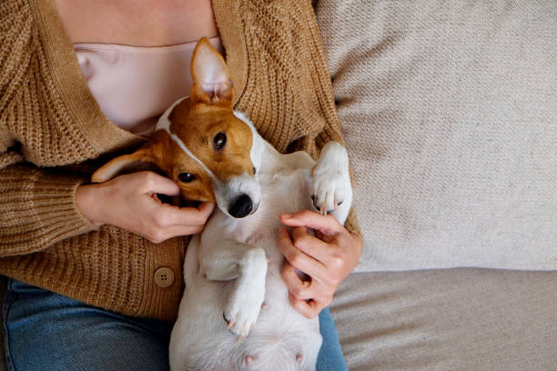 istock Hipster girl with her puppy. 1324714395