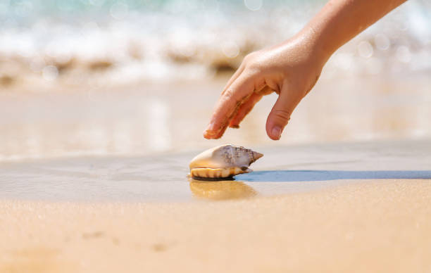 istock The child takes a seashell on the sea beach. Selective focus. 1324717508