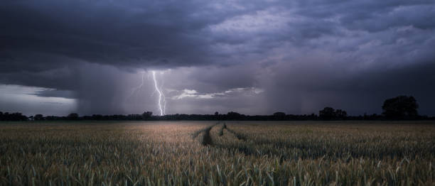 queda de raio durante uma tempestade de verão perto de rastatt plittersdorf - storm corn rain field - fotografias e filmes do acervo