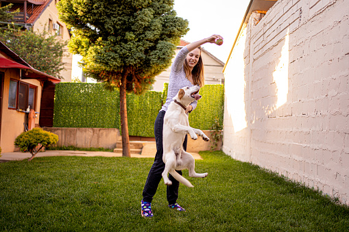 Fun time. Girl playing with her dog in the backyard