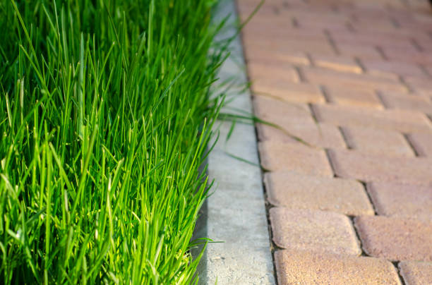 Border kerb between lawn and sidewalk in a park