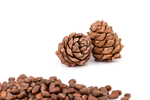 Cedar nuts in the shell with  unopened cones isolated on the white background