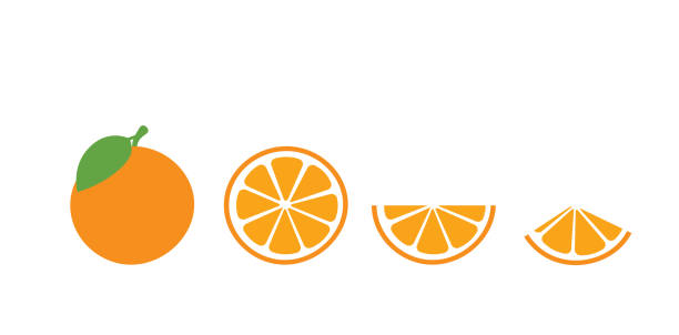 orangenfrüchte. orangen, die auf weißem hintergrund segmentiert sind, saftige saisonale früchte, zitrusfrüchte, tropisch. isoliertes bild, flache vektor-illustration - orange stock-grafiken, -clipart, -cartoons und -symbole