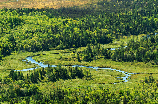 An aerial view of a distant wetland.