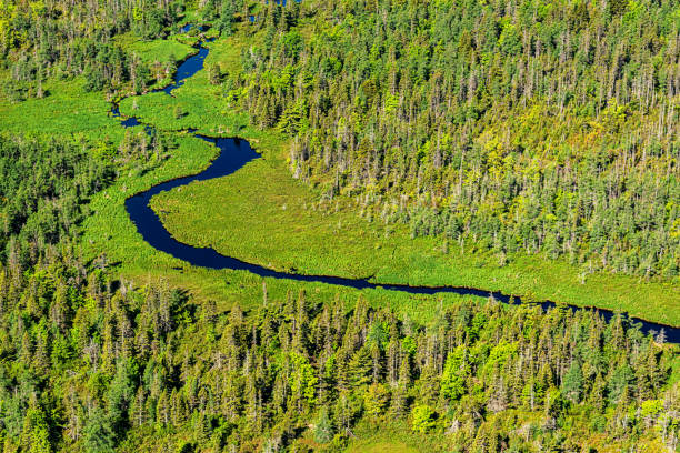 istock Aerial View of Wetland 1324730101