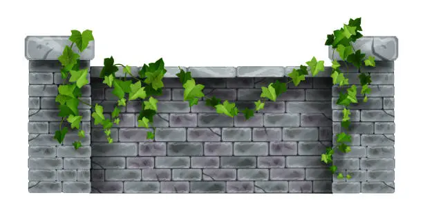 Vector illustration of Brick stone fence vector illustration, house garden columns, ivy leaf, creeper plant, facade street view.
