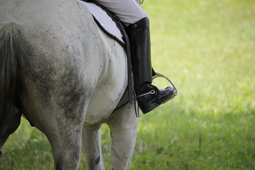 Rear view of a young adult Caucasian woman sitting on a beautiful brown horse while taking a leisure ride in a green pasture in Oregon.