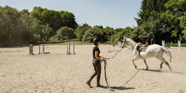 istock Young female trainer exercising her horse 1324742718