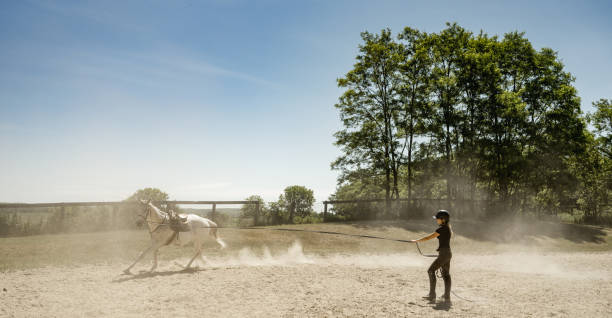 istock Young female trainer exercising her horse 1324743388