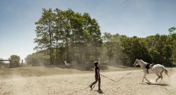 istock Young female trainer exercising her horse 1324743660