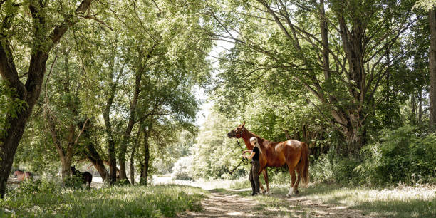 istock Young female trainer enjoying her horse 1324743724