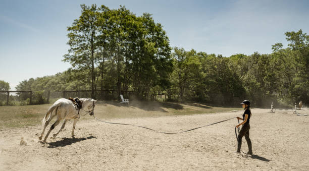 istock Young female trainer exercising her horse 1324743776