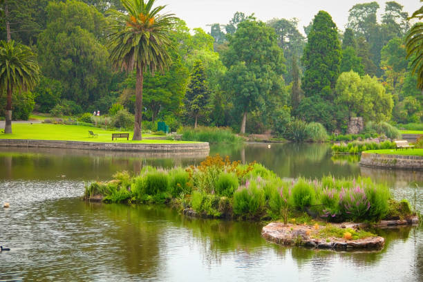 Small lake in a public park of Royal Botanic Gardens Melbourne stock photo