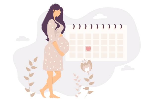 stockillustraties, clipart, cartoons en iconen met the pregnant girl looks at the calendar. beautiful woman hugs her belly and stands by the planner calendar on a floral background. vector illustration. girl and female health concept - pregnant count