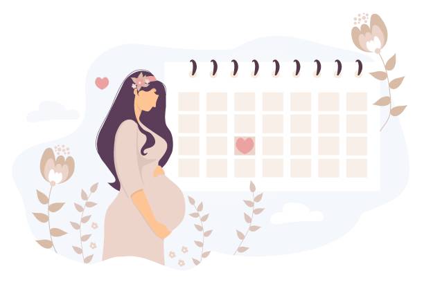 stockillustraties, clipart, cartoons en iconen met happy pregnant girl looks at the calendar. cute woman hugs her belly and stands by the monthly female planner calendar. vector illustration. womens health concept - pregnant count