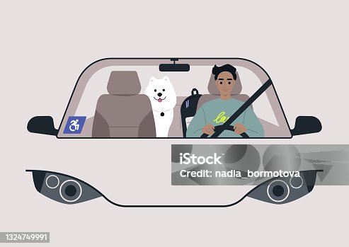 istock A young male physically impaired character driving a car, a blue wheelchair parking permit sticker on a windshield 1324749991