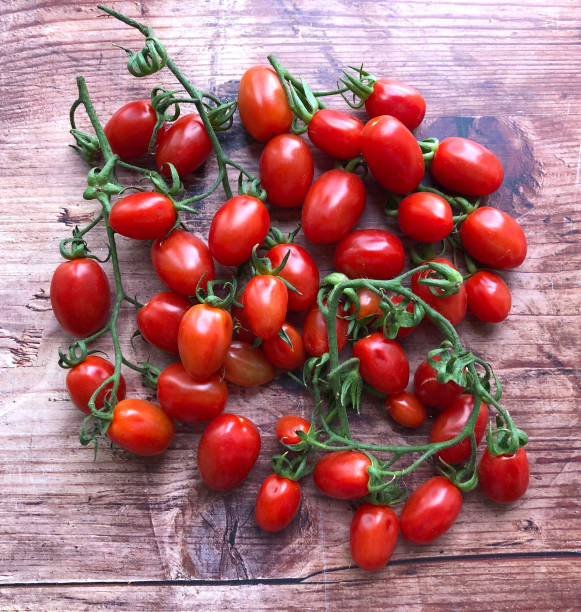 fresh, organic, aromatic plum or cherry tomatoes on the vine. sicilian datterini tomatoes. - plum tomato fotos imagens e fotografias de stock