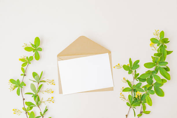 istock Mockup white wedding invitation and envelope with branches and green leaves on color background 1324752757