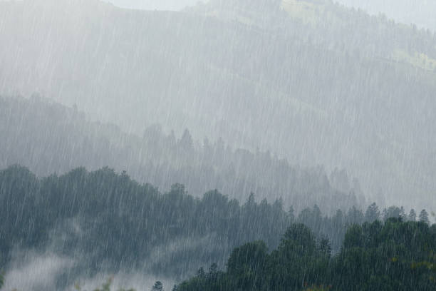 istock Rain over forest mountains. Tonal range perspective of a misty mountains landscape on rainy weather. 1324753634