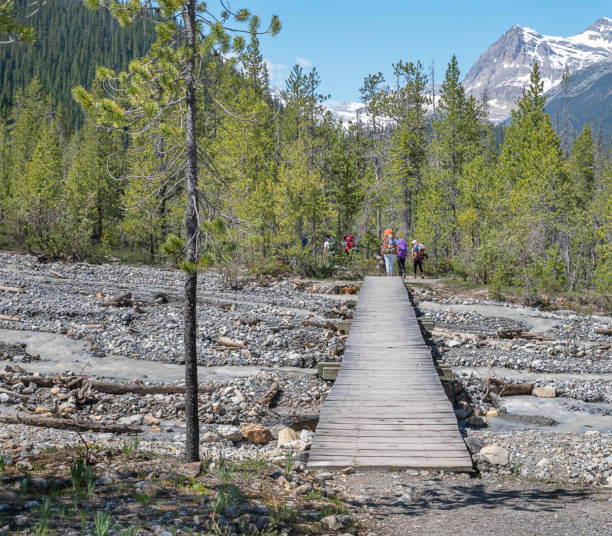 istock Hiking in Yoho Nation Park 1324757371