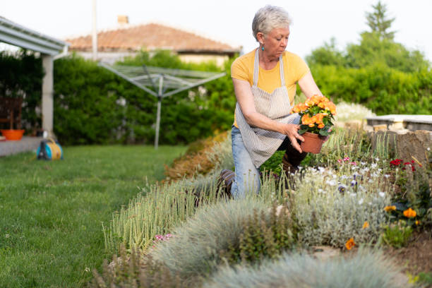 istock A senior woman gardening 1324762449