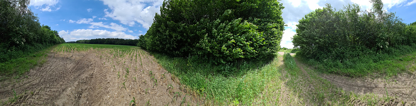Panorama of countryside roads with fields and trees in northern Europe.