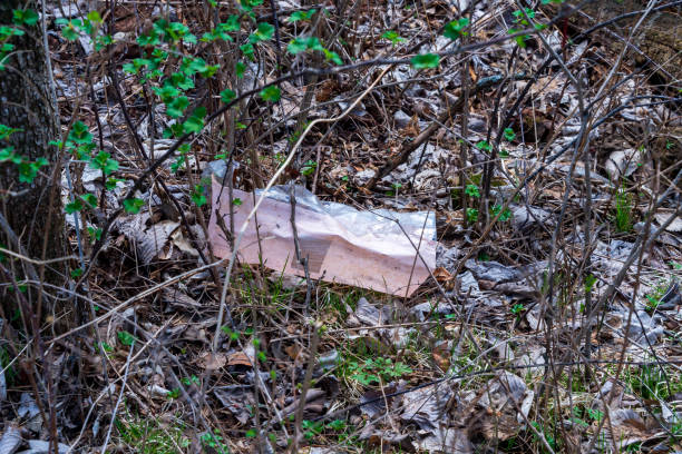 Paper and plastic litter caught in a woodland's springtime brush.