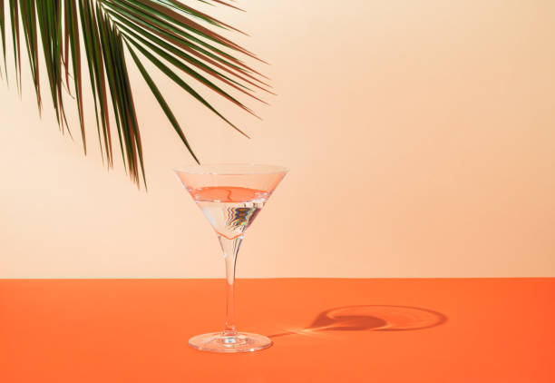 top view of green tropical palm leaf and martini glass on orange and sand color background. - cosmopolitan imagens e fotografias de stock