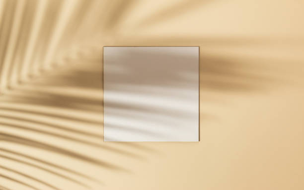 istock Top view of green tropical leaf shadow on sand color background. 1324775791