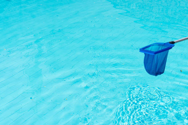 istock Cleaning of swimming pool with a net 1324776760