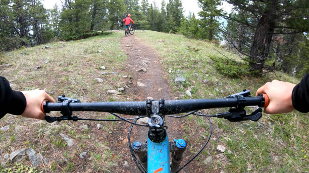 istock First person perspective of mountain biking on forest trail 1324777742