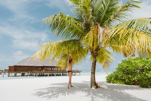 Photo of a young woman standing under a palm tree, relaxing and enjoying the breathtaking scenery of a tropical island.