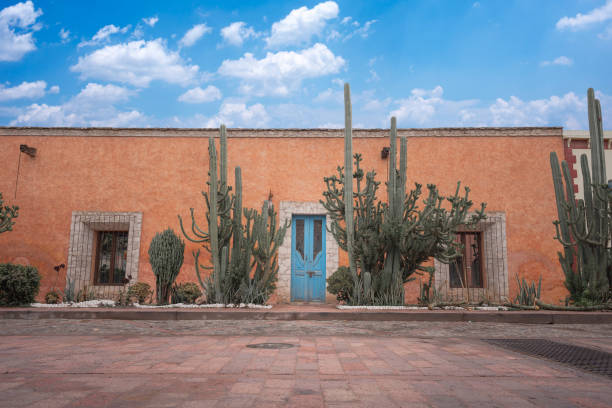 front of house with colonial architecture of a magical town in Queretaro Mexico, blue door and orange wall with green cactus front of house with colonial architecture of a magical town in Queretaro Mexico, blue door and orange wall with green cactus, no people mexico street scene stock pictures, royalty-free photos & images