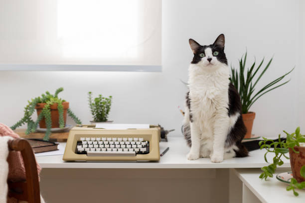 istock Cat looking at camera sitting at a desk. Home office setups 1324788067