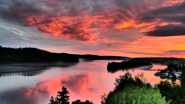 The water and the bright pink sky with fog lined with trees