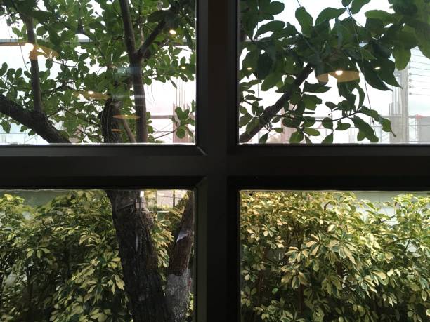 house windows made of glass