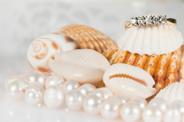 11,100+ Sea Shell Jewelry Stock Photos, Pictures & Royalty-Free Images ...