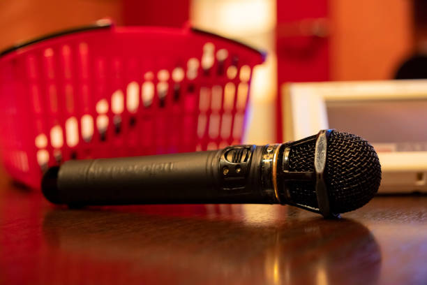 Ricevitore E Adattatore Per Microfono Wireless Per Karaoke | Kit Di Ricambio Per Macchina Karaoke, Compatibilità Universale
