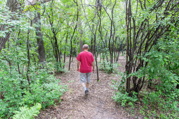 istock older man walking on a trail in the woods in nature. 1324797789