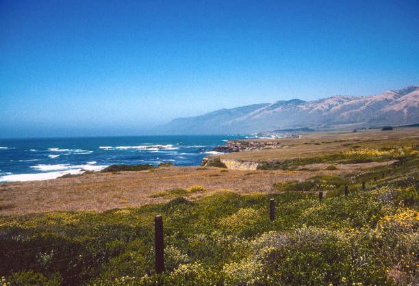 wybrzeże kalifornii - big sur na północ od hearst - 2001 - san simeon zdjęcia i obrazy z banku zdjęć