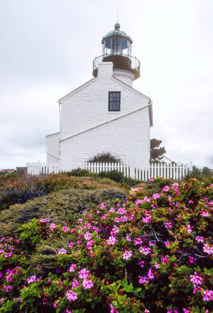 istock Cabrillo NM - Point Loma Lighthouse & Flowers - 2001 1324807048