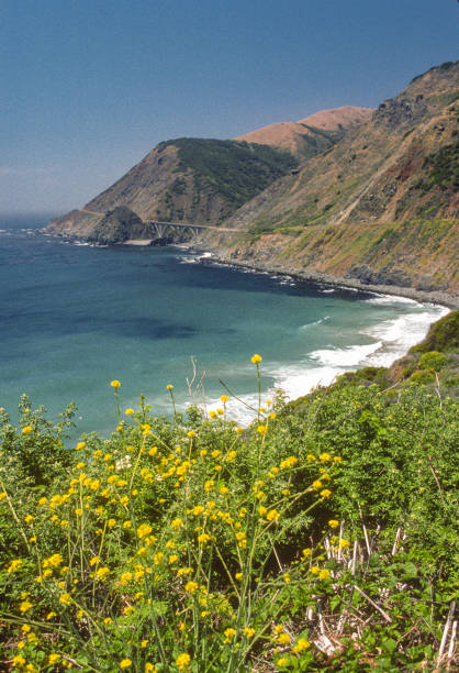 istock California Coast - Steep Headlands & Bridge Vertical - 2001 1324807172