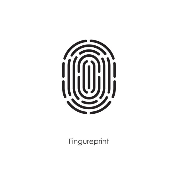 illustrazioni stock, clip art, cartoni animati e icone di tendenza di sistema di identificazione della scansione con stampa con le dita - biometrics fingerprint identity flat bed scanner