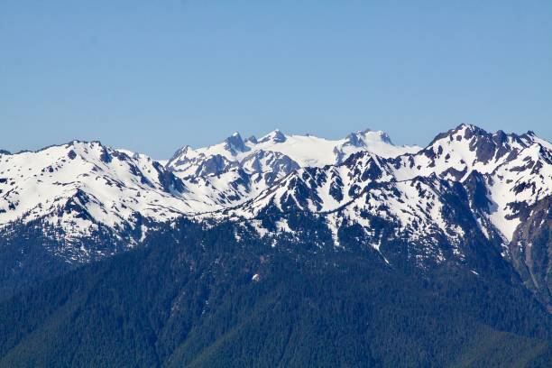 istock Mount Olympus As Seen From Hurricane Ridge 1324807974